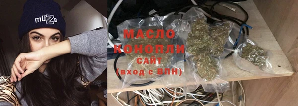дживик Вязьма