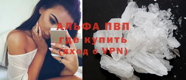 дживик Вязьма