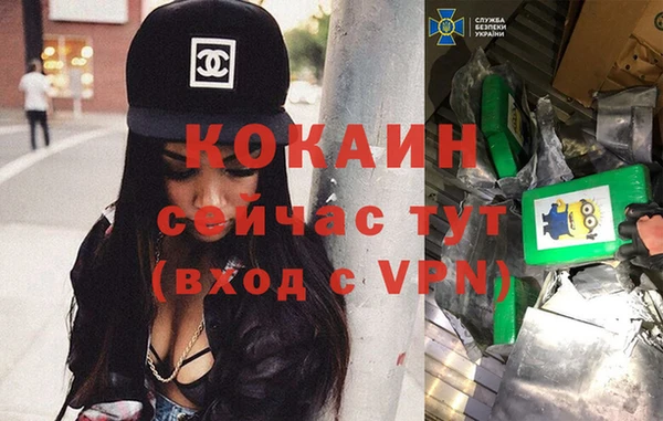 дживик Вязьма