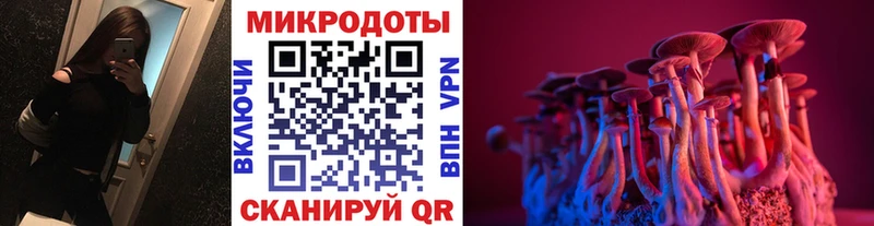 Галлюциногенные грибы Psilocybine cubensis  Купить  Ступино 